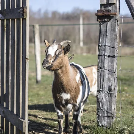 Tatil Evi Du Moulin De La Peyriere *