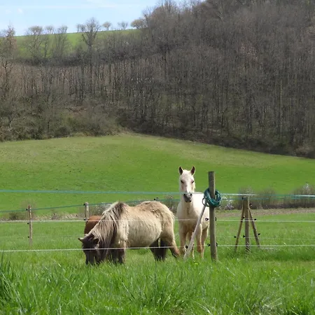 Tatil Evi Du Moulin De La Peyriere