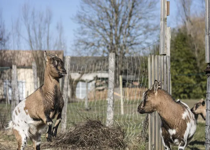 Du Moulin De La Peyriere Сasa de vacaciones