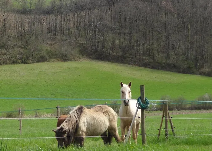 Сasa de vacaciones Du Moulin De La Peyriere