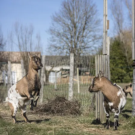 Du Moulin De La Peyriere Feriehus